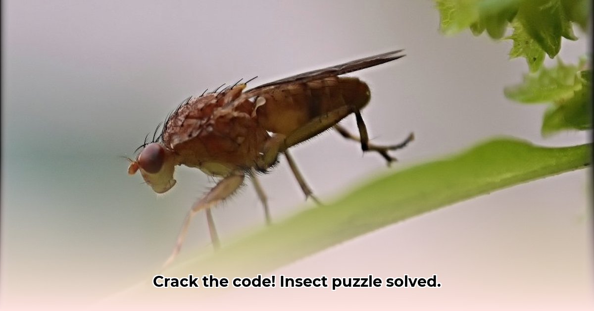 daar-is-een-insect-gesnapt